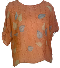 Load image into Gallery viewer, PRG4949 Sheer Avatar Pure Silk Boxy Top