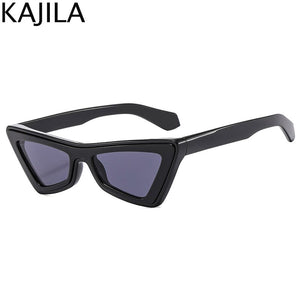 Sexy Cat Eye Sunglasses Women Triangle Sun Glasses for Men  Luxury Brand Designer Trendy Small Frame Cateye Eyewear Shades