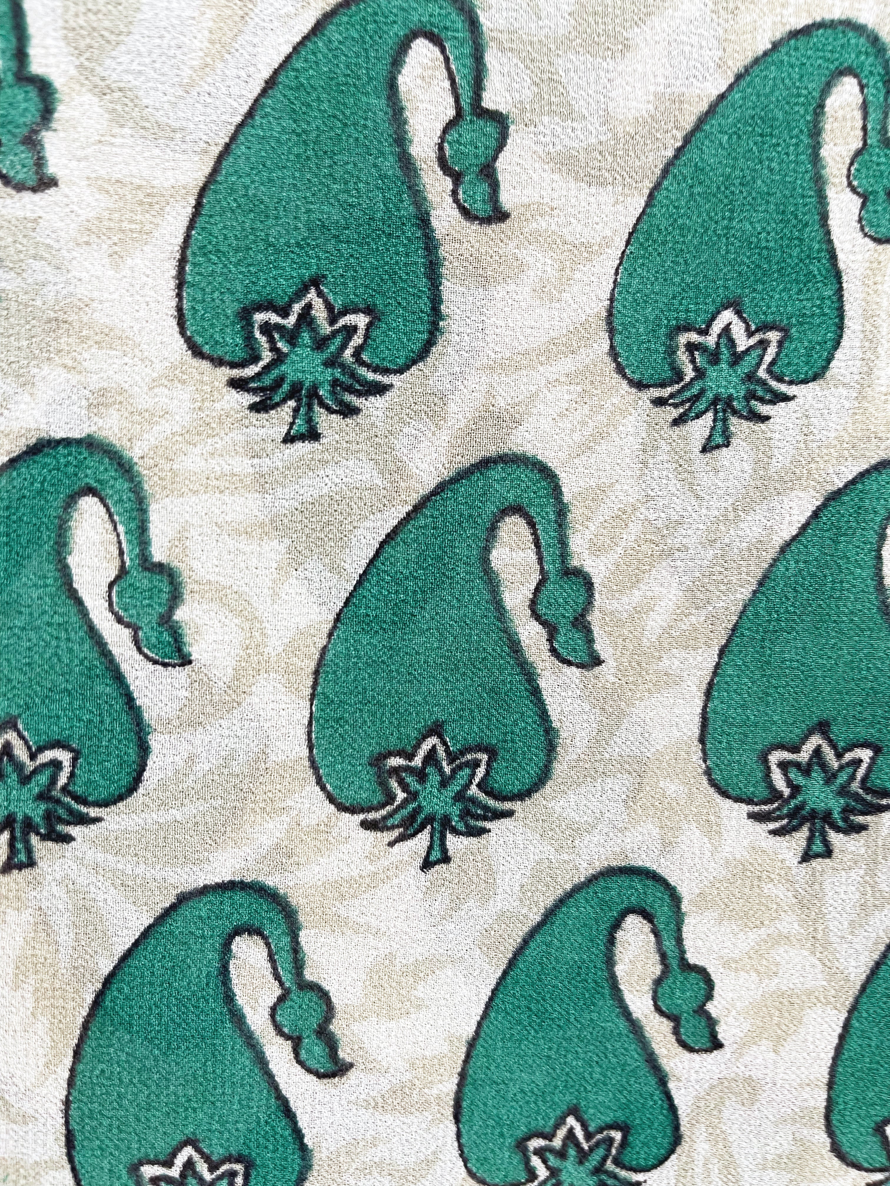 FINAL SALE Bhubaneswar Sheer Avatar Pure Silk Shrug