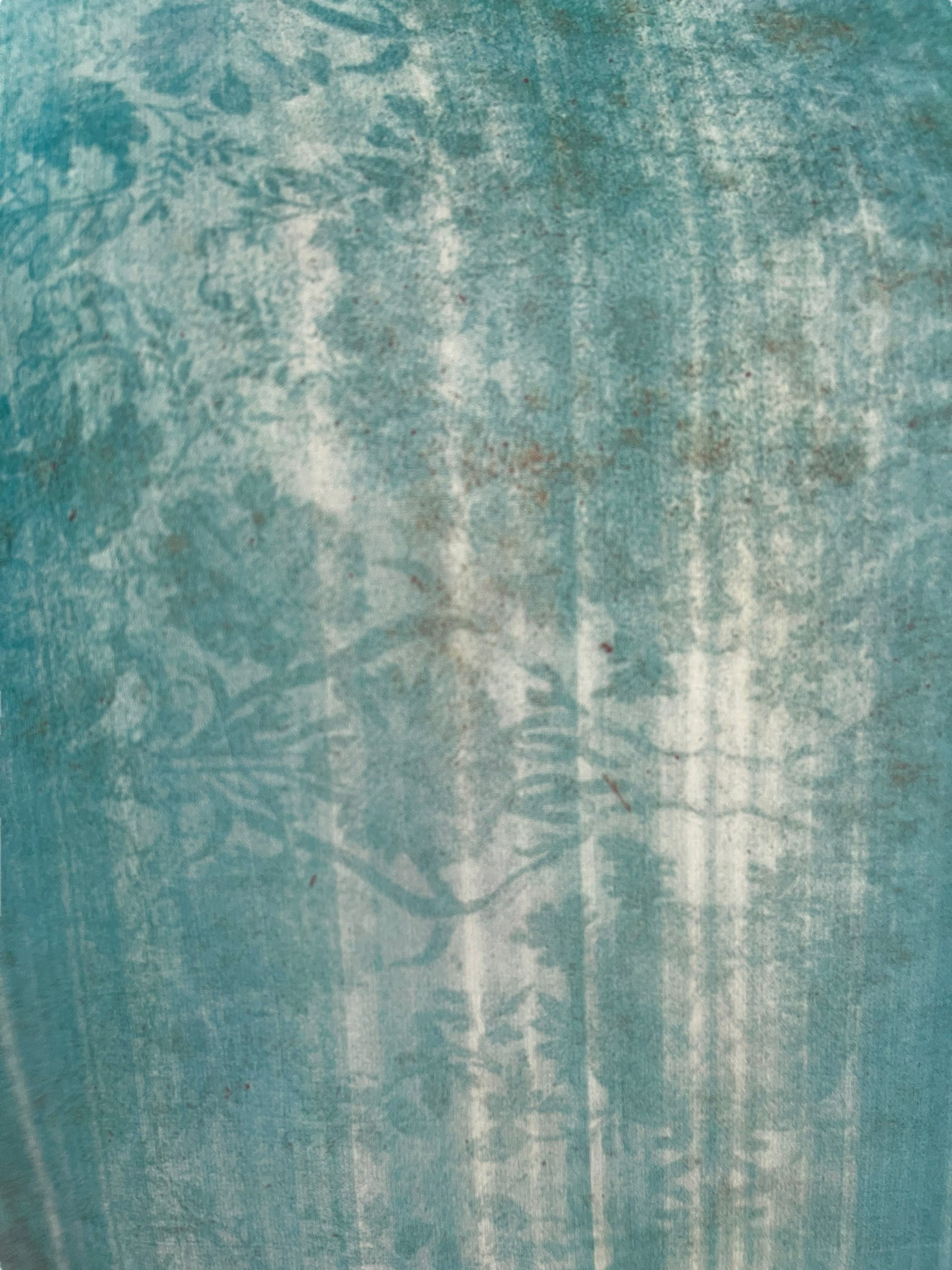 FINAL SALE PRG6249 Sheer Avatar Pure Silk Side Slit Top