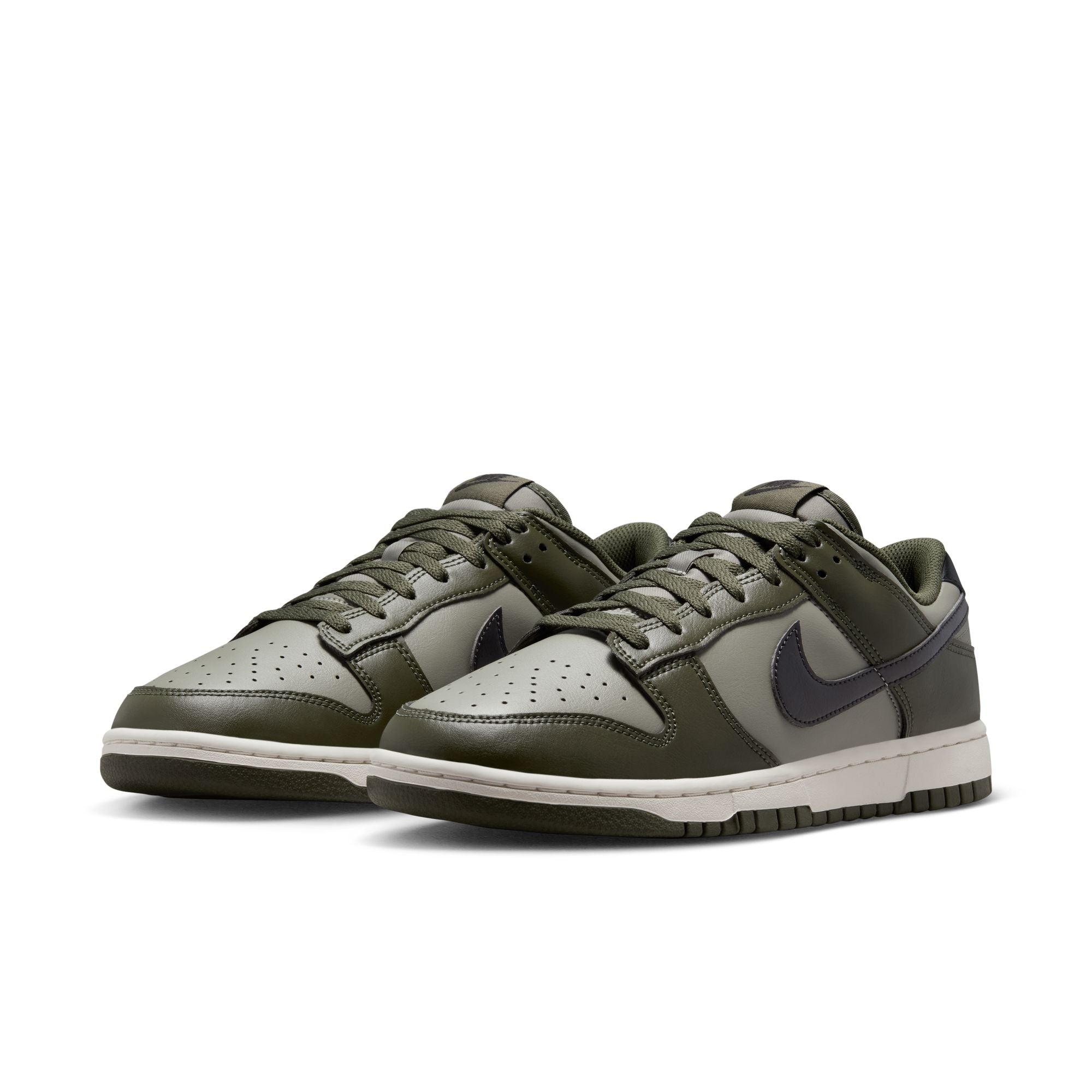 M Nike Dunk Low Retro HF5441-300