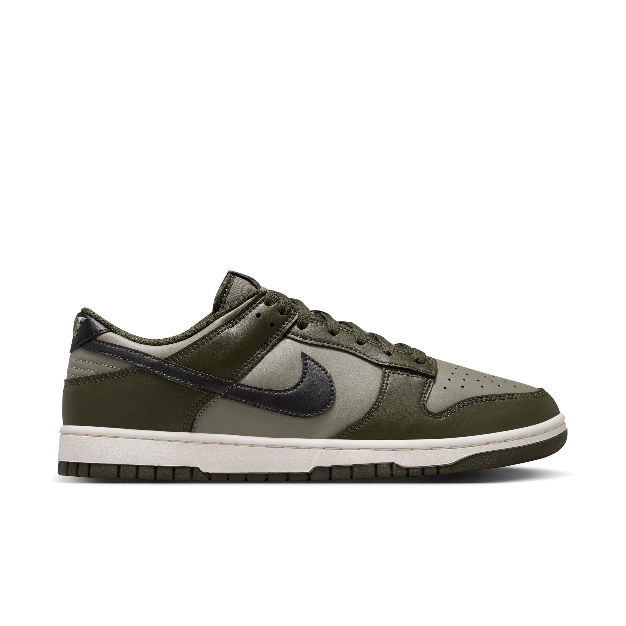 M Nike Dunk Low Retro HF5441-300