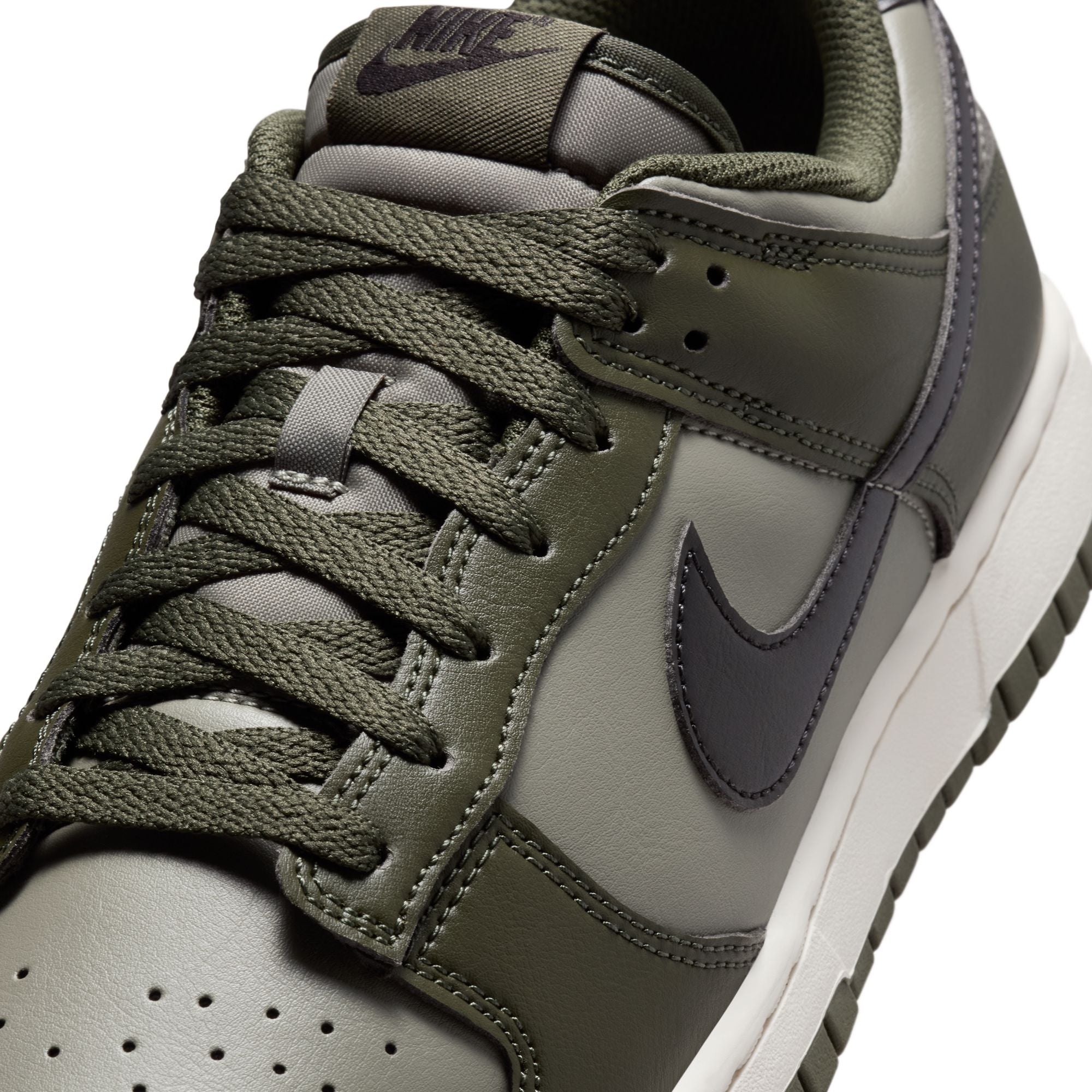 M Nike Dunk Low Retro HF5441-300