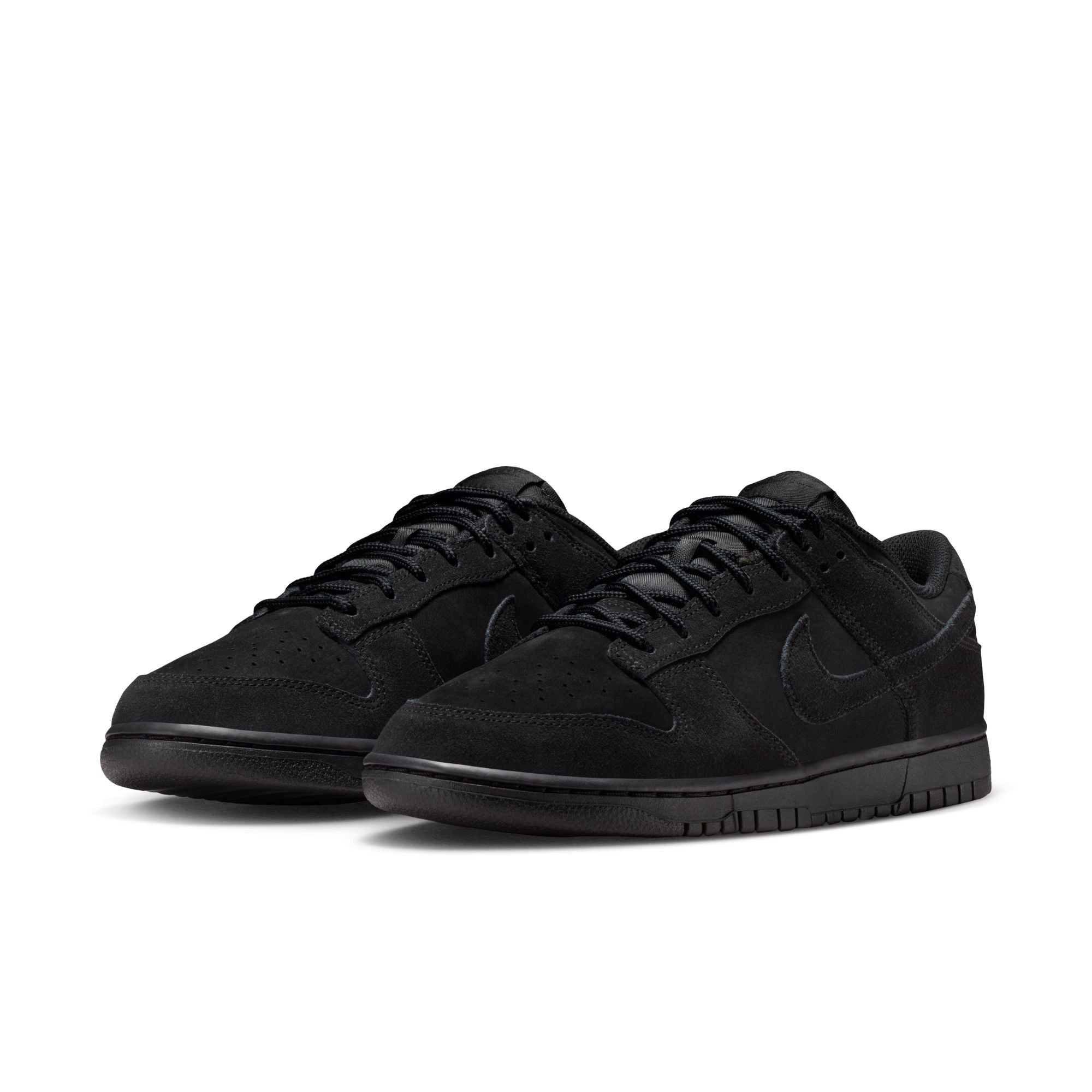M Nike Dunk Low Retro SE IB6651-001