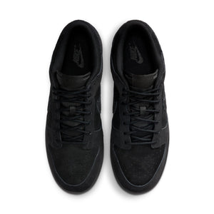 M Nike Dunk Low Retro SE IB6651-001