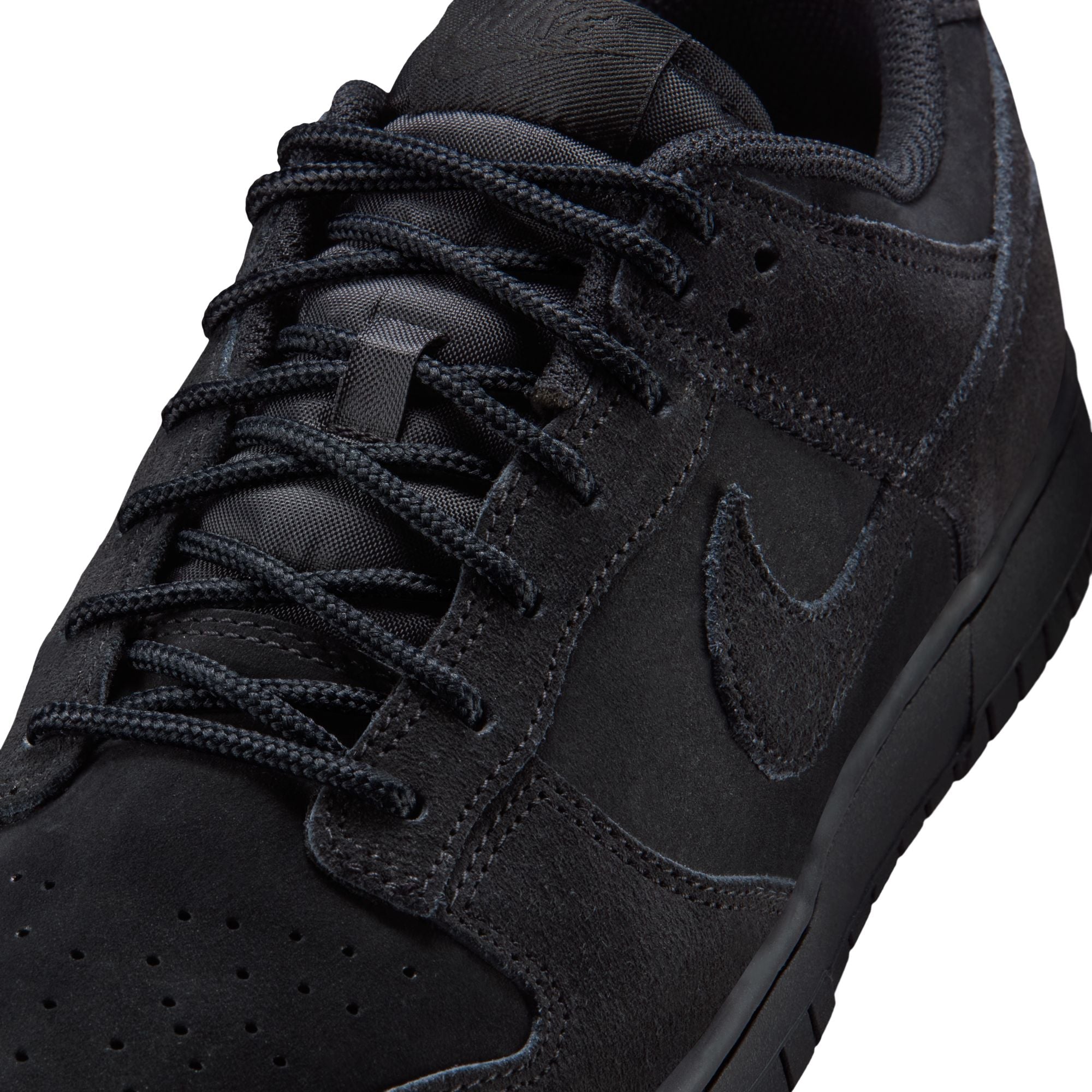 M Nike Dunk Low Retro SE IB6651-001