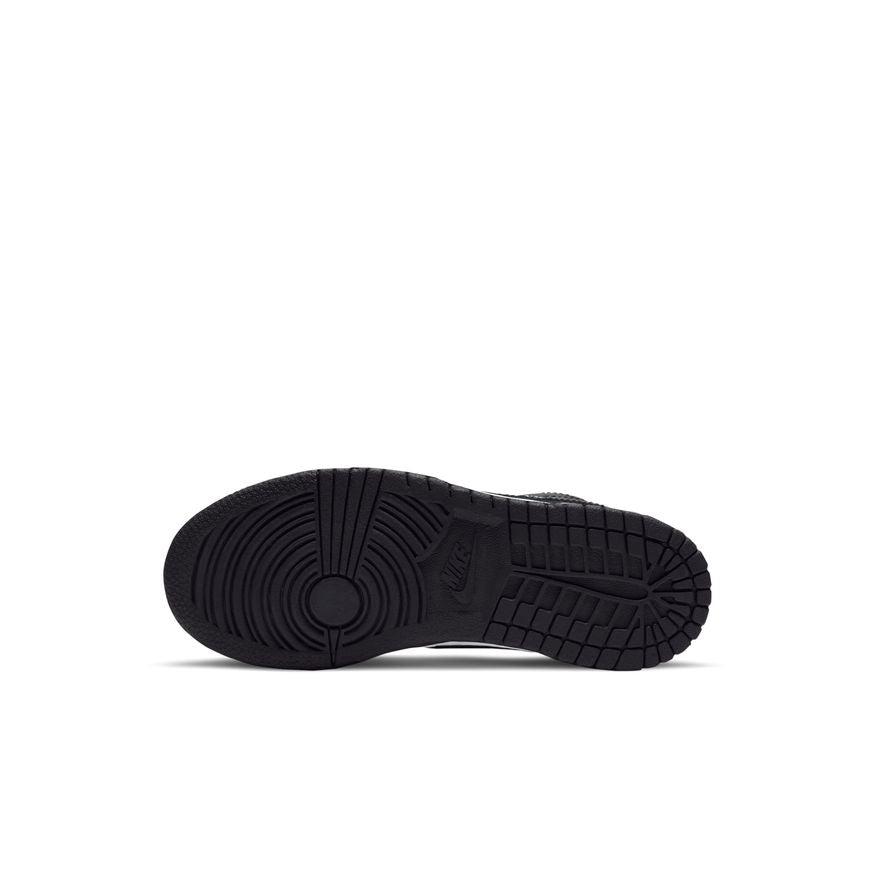 Y Nike Dunk Low CW1588-100