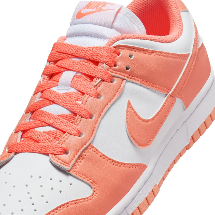 W Nike Dunk Low Next Nature DD1873-109