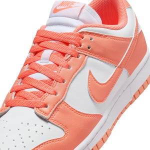 W Nike Dunk Low Next Nature DD1873-109
