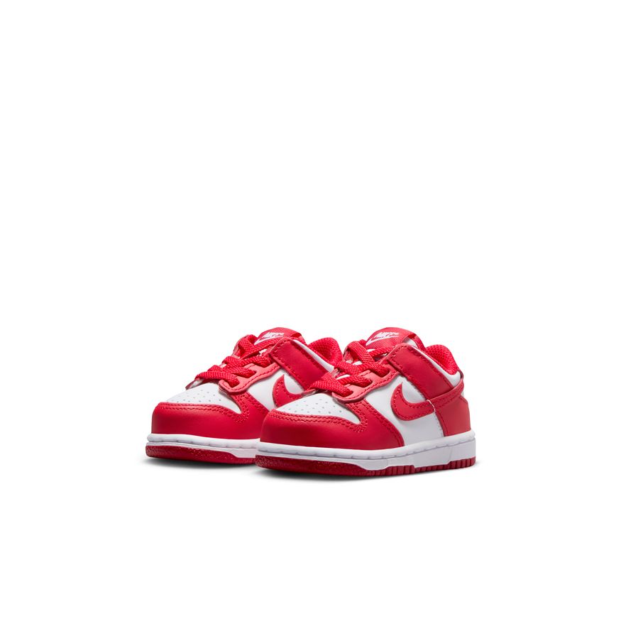 Y Nike Dunk Low FB9107-119