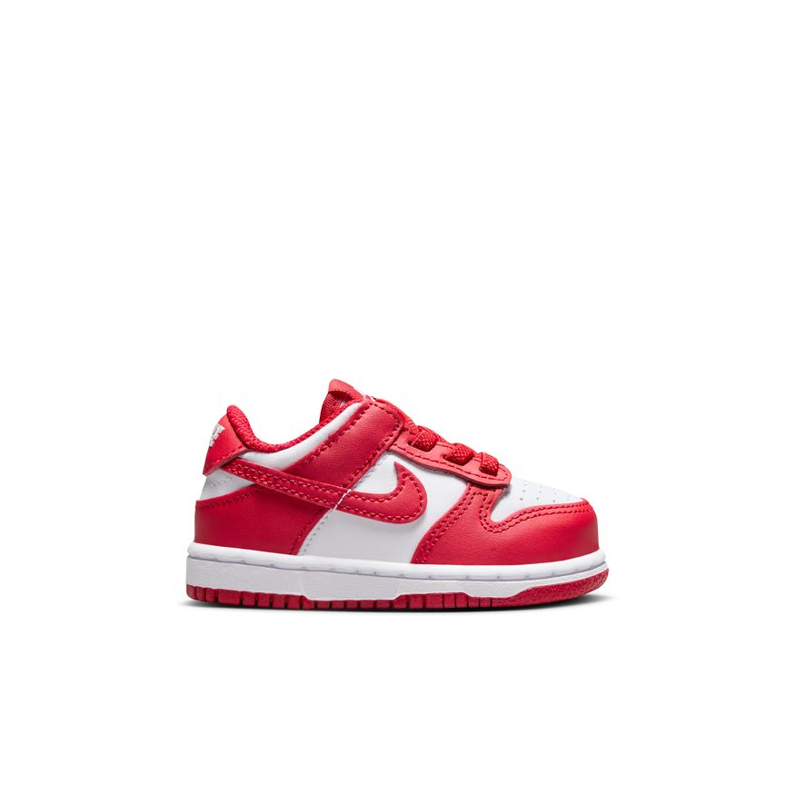 Y Nike Dunk Low FB9107-119
