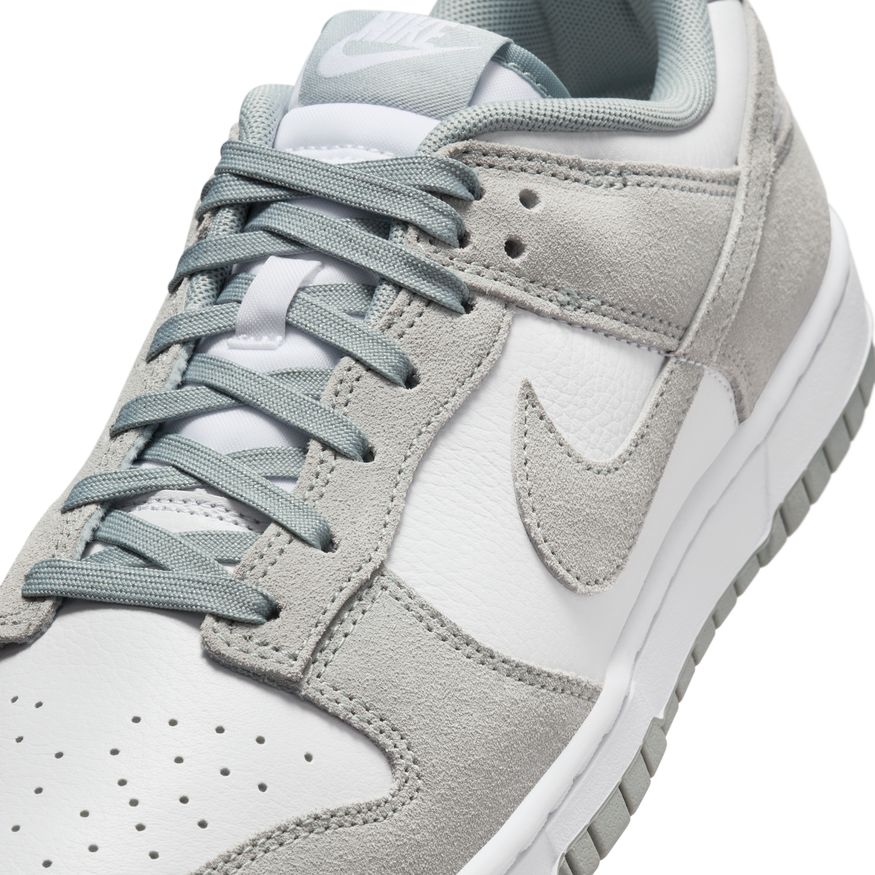 M Nike Dunk Low Retro SE Leather/Suede FQ8249-101