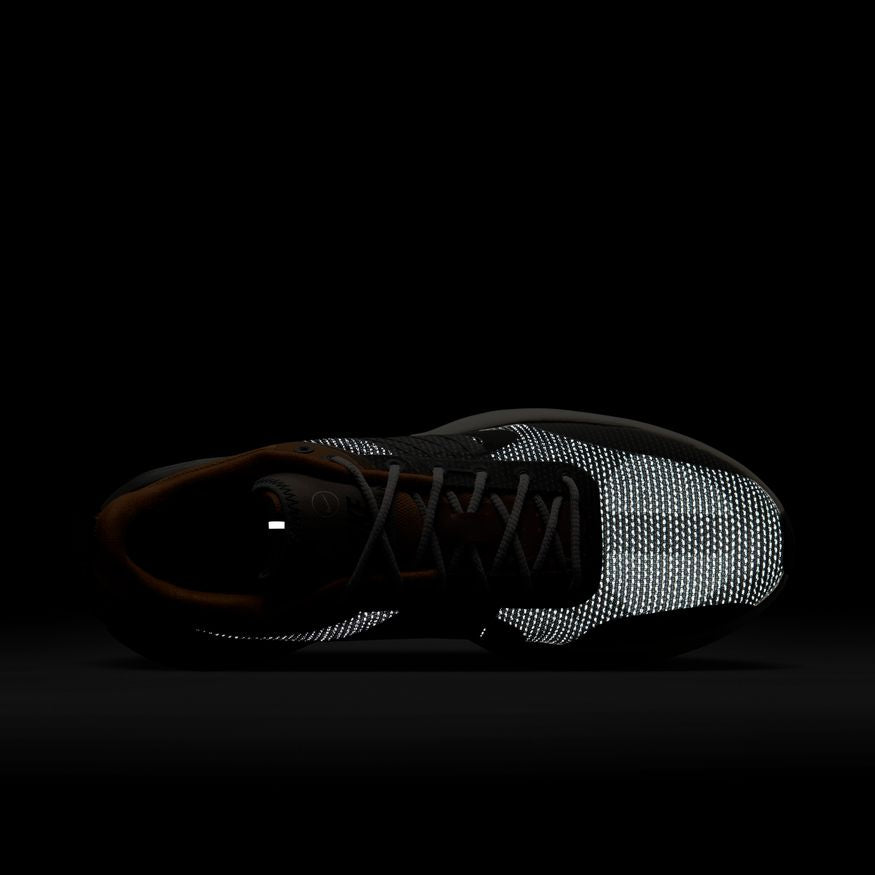 M Nike Lunar Roam SE FZ8116-200