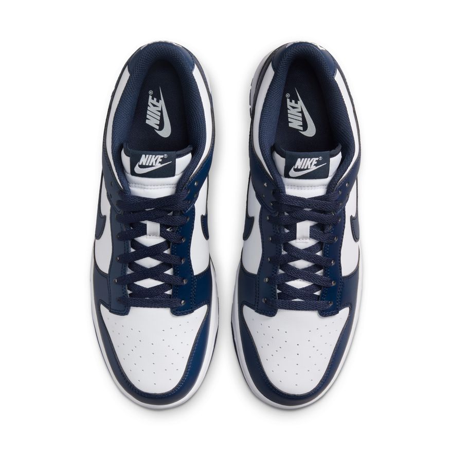 M Nike Dunk Low Retro HF5441-107