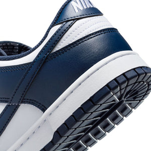 M Nike Dunk Low Retro HF5441-107