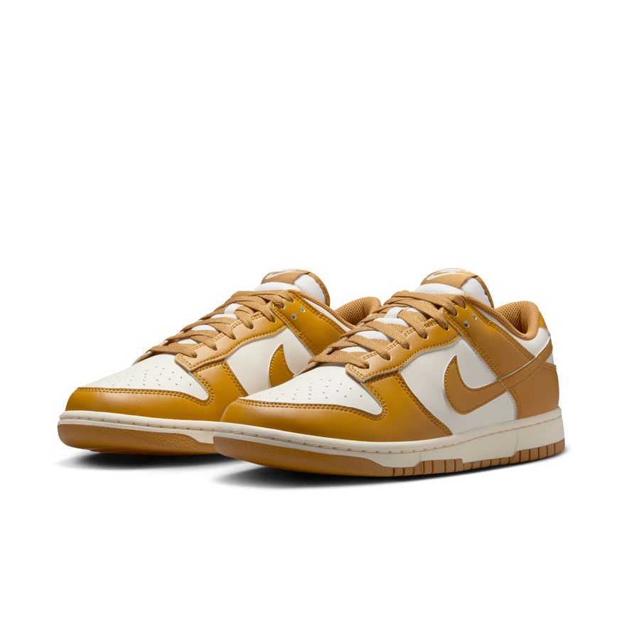 M Nike Dunk Low Retro HF5441-108