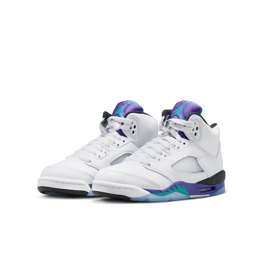 Y Air Jordan 5 Retro "Grape" HQ7980-100