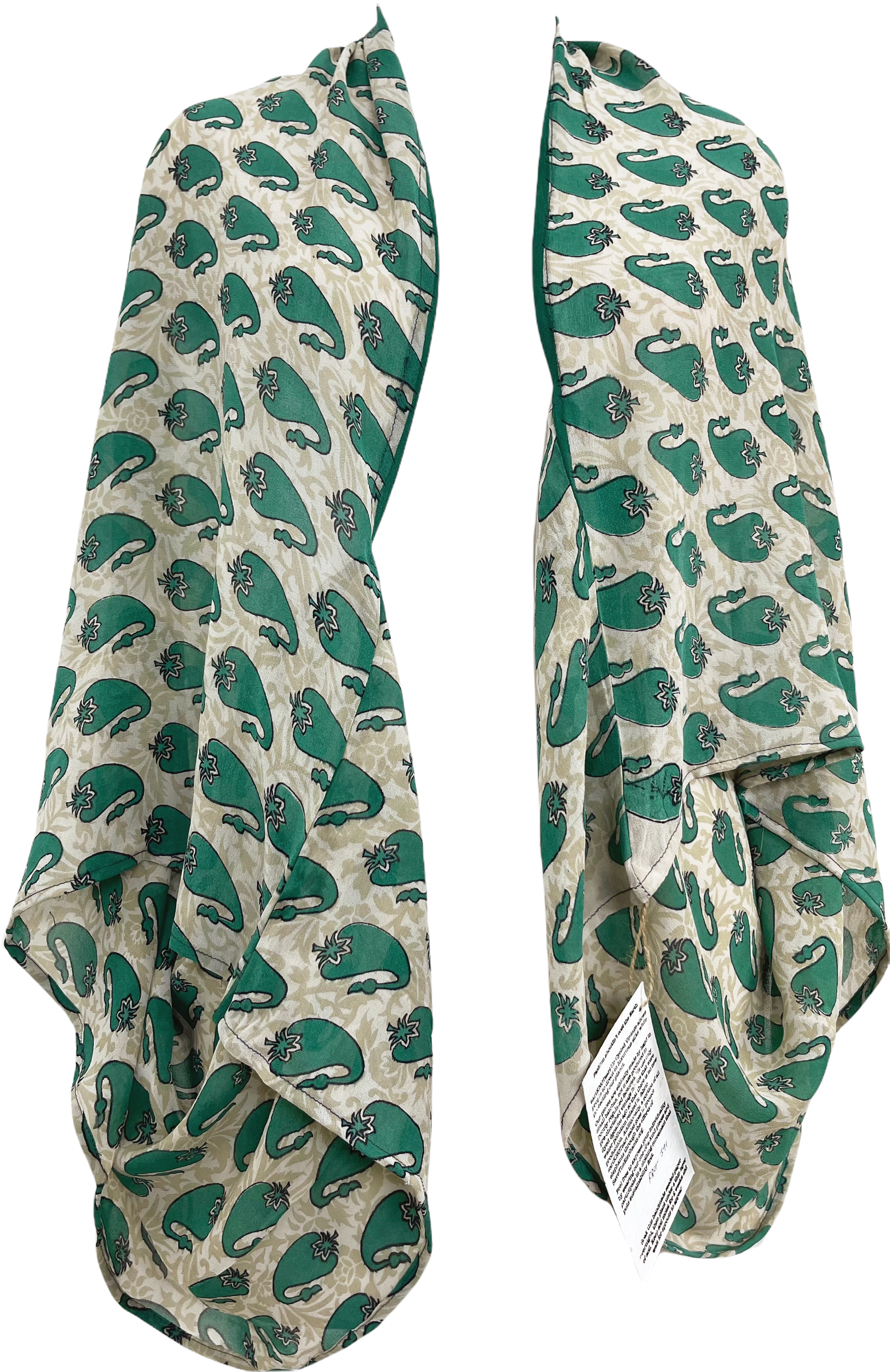 FINAL SALE Bhubaneswar Sheer Avatar Pure Silk Shrug