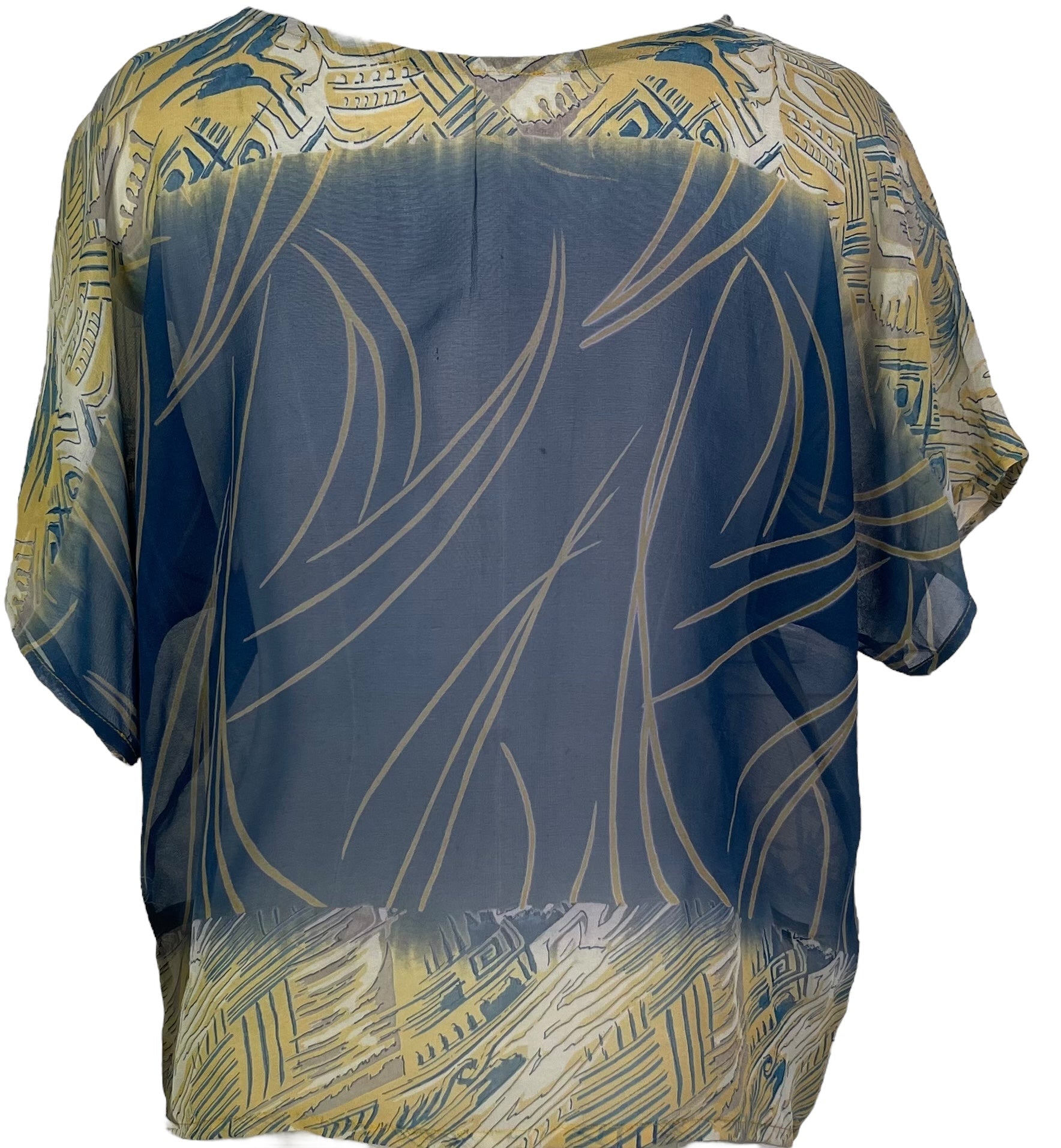 PRG5512 Sheer Avatar Pure Silk Boxy Top