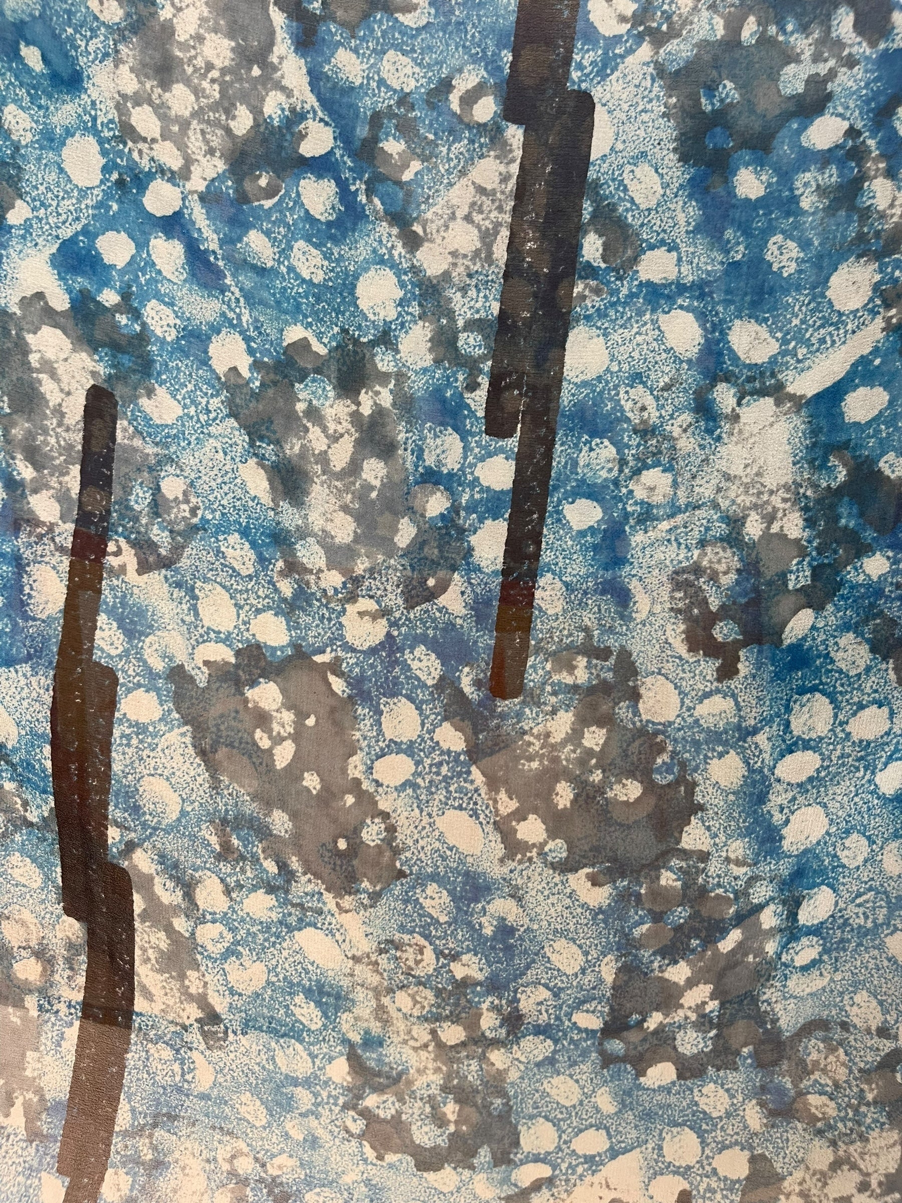 PRG7050 Sheer Avatar Pure Silk Capelet Poncho