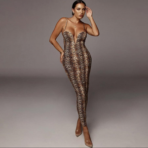 Leopard Print Dress