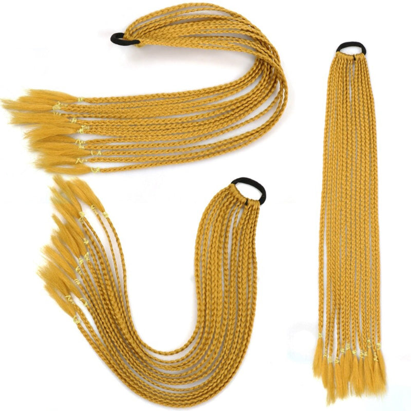 Women's Braided Hair Wigs Multi-Color High-Temperature Fiber