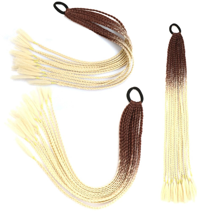 Women's Braided Hair Wigs Multi-Color High-Temperature Fiber