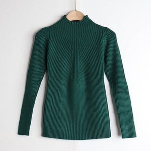 Knit Turtleneck