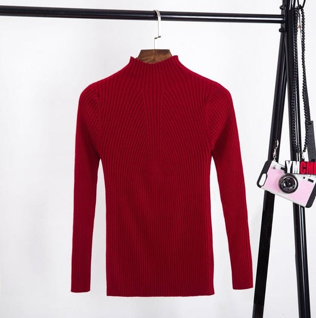 Knit Turtleneck