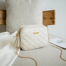 Load image into Gallery viewer, 2022 Tassel Small Messenger Bag For Women Trend  Embroidery Camera Female Shoulder Bag Fashion Chain Ladies Crossbody Bags
