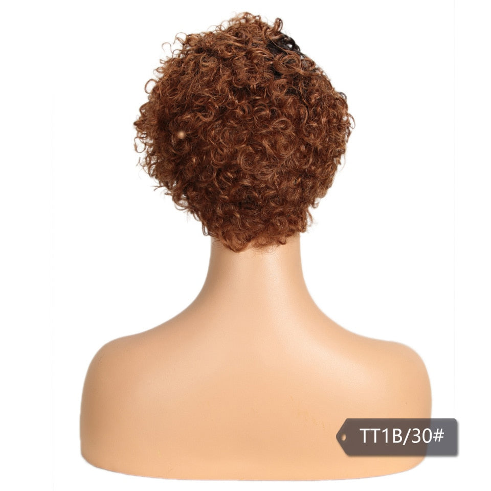 Trueme Short Curly Lace Front Human Hair Wig Brazilian Colored Human Hair Wigs For Women Ombre Blonde Black Jerry Curl Lace Wig