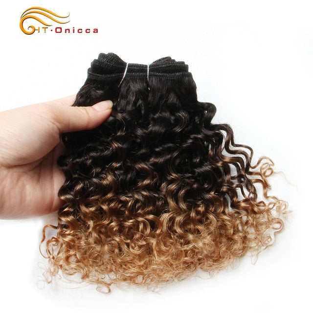 Brazilian Bohemian Curly 100% Remy Human Hair Double Drawn Funmi Hair 8 inches 6Pcs/lot Can Make A Wig For Women Htonicca - Bianca's hair and beauty supply