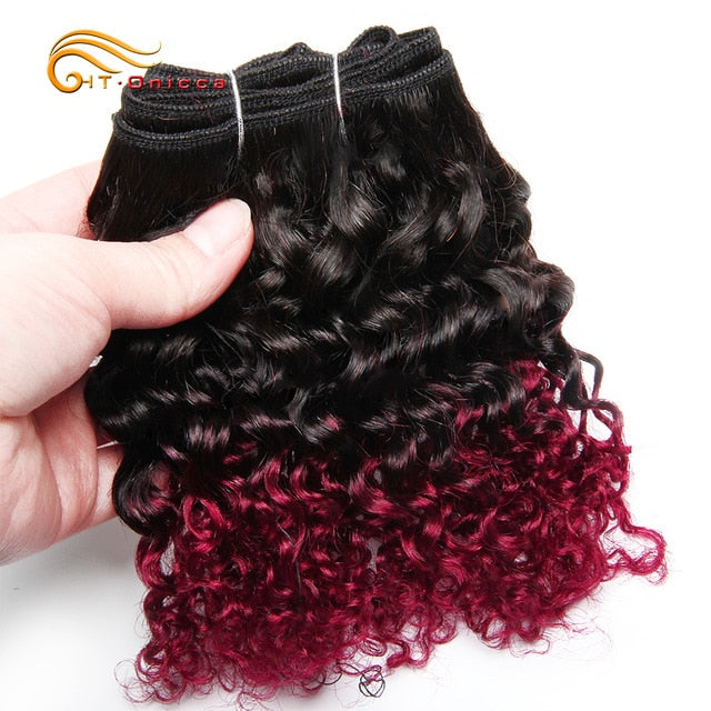 Brazilian Bohemian Curly 100% Remy Human Hair Double Drawn Funmi Hair 8 inches 6Pcs/lot Can Make A Wig For Women Htonicca - Bianca's hair and beauty supply