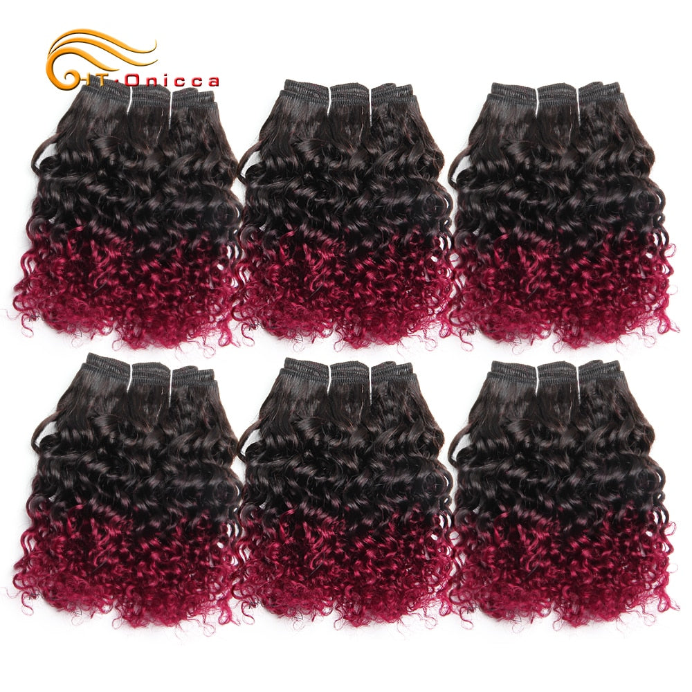 Brazilian Bohemian Curly 100% Remy Human Hair Double Drawn Funmi Hair 8 inches 6Pcs/lot Can Make A Wig For Women Htonicca - Bianca's hair and beauty supply